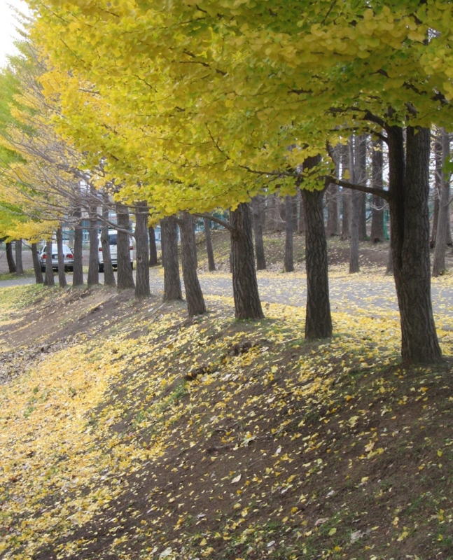 f:id:atarou:20111031071113j:image