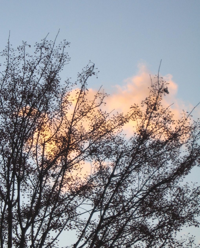 f:id:atarou:20111202070448j:image