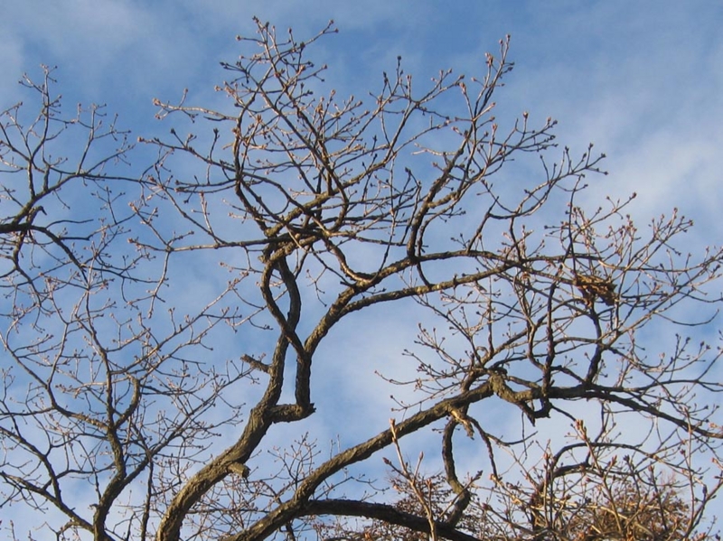 f:id:atarou:20111203065646j:image