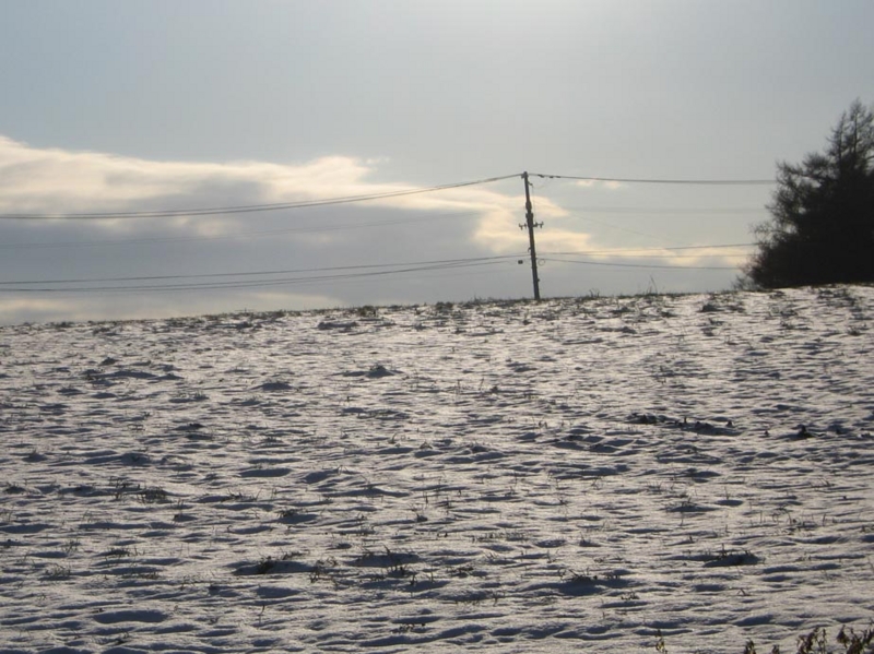 f:id:atarou:20111203065649j:image