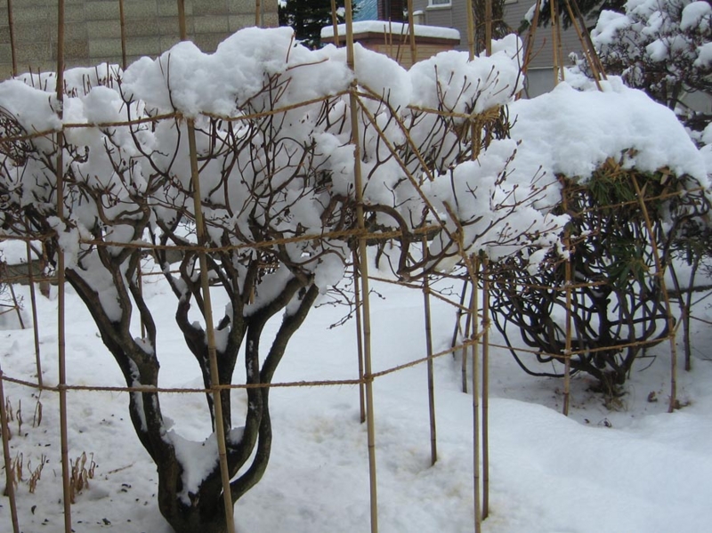 f:id:atarou:20111204164334j:image