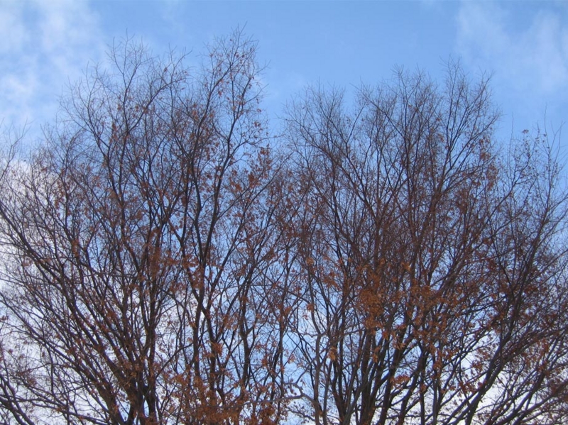f:id:atarou:20111206174846j:image