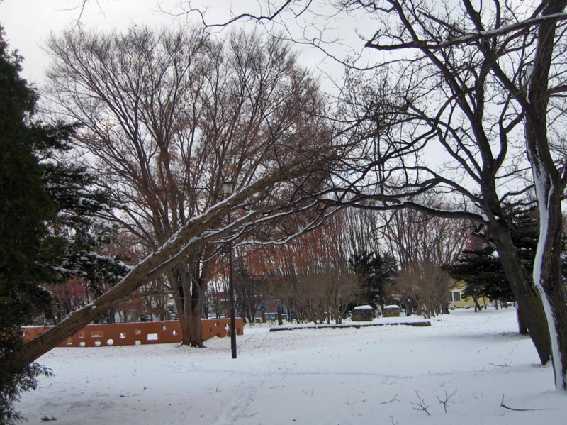 f:id:atarou:20111206174847j:image