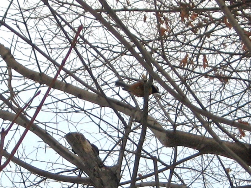 f:id:atarou:20111207065934j:image