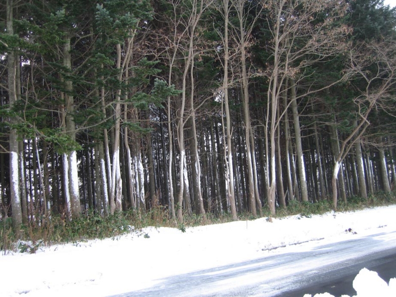 f:id:atarou:20111207070751j:image