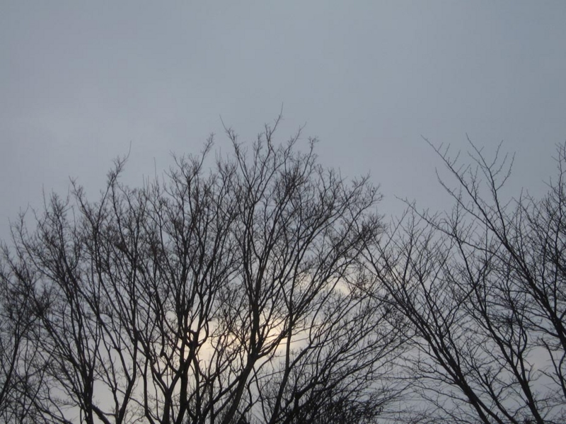 f:id:atarou:20111207072555j:image