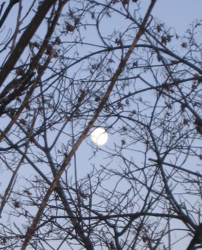 f:id:atarou:20111208193417j:image