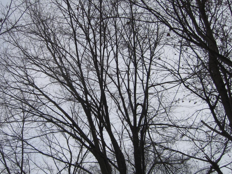 f:id:atarou:20111209070912j:image