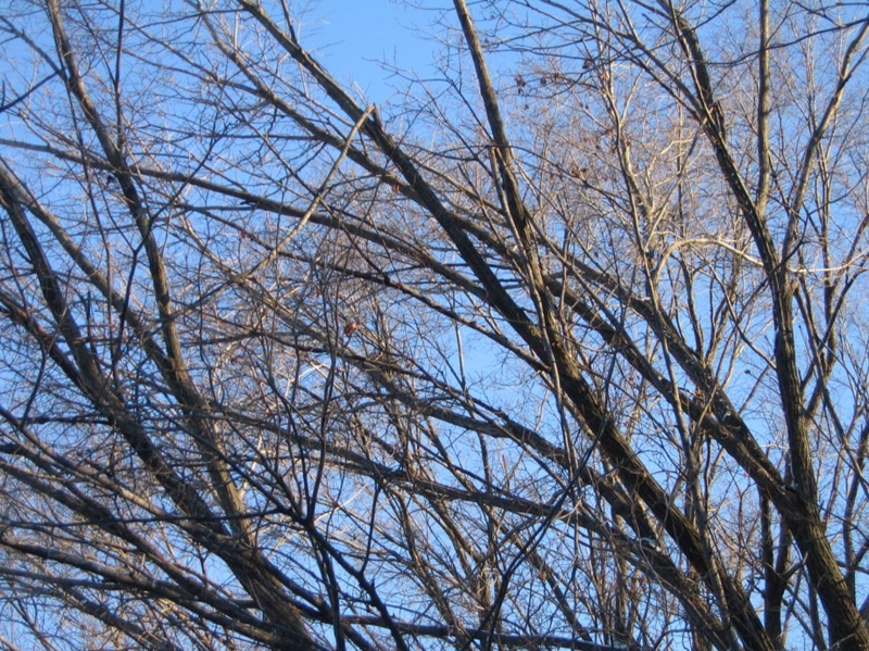 f:id:atarou:20111209072158j:image