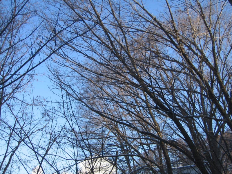 f:id:atarou:20111209072200j:image