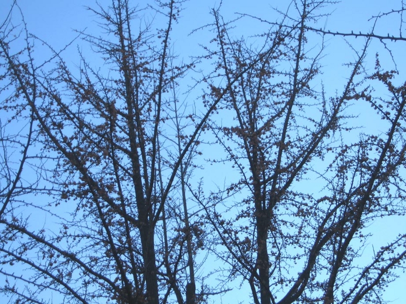 f:id:atarou:20111210070343j:image