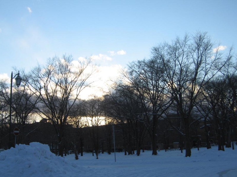 f:id:atarou:20111210071508j:image