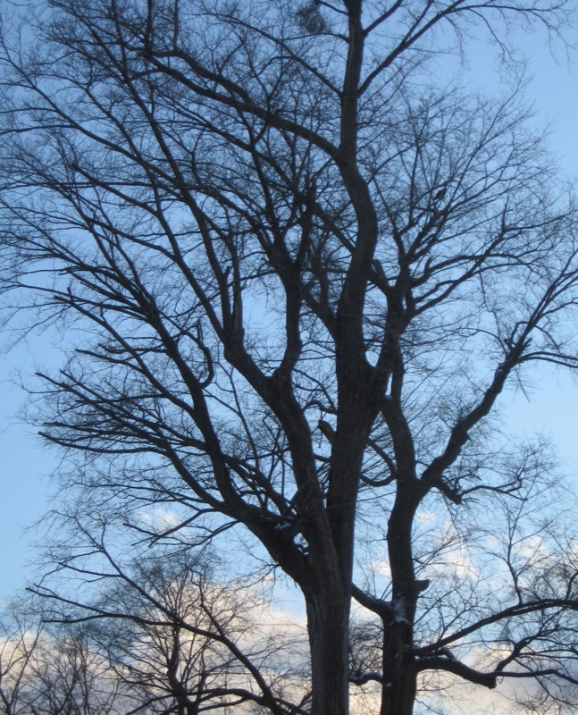 f:id:atarou:20111210071512j:image