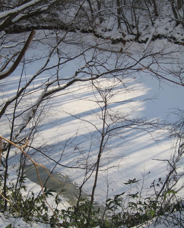 f:id:atarou:20111211180512j:image