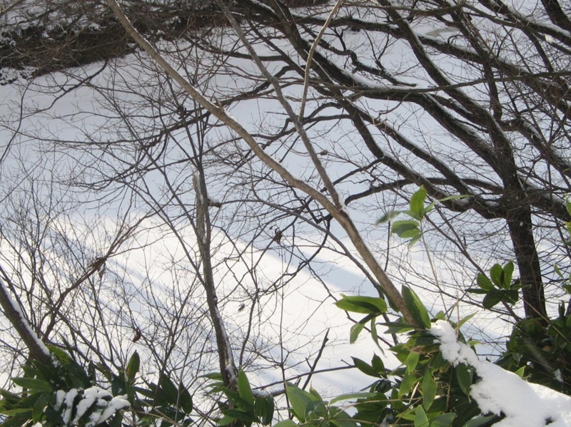 f:id:atarou:20111212064211j:image