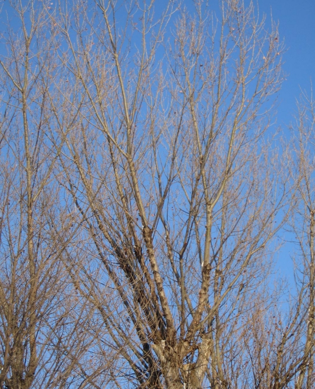 f:id:atarou:20111212065545j:image