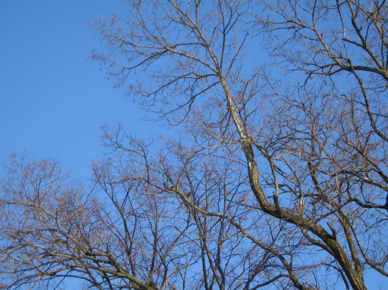 f:id:atarou:20111212070106j:image