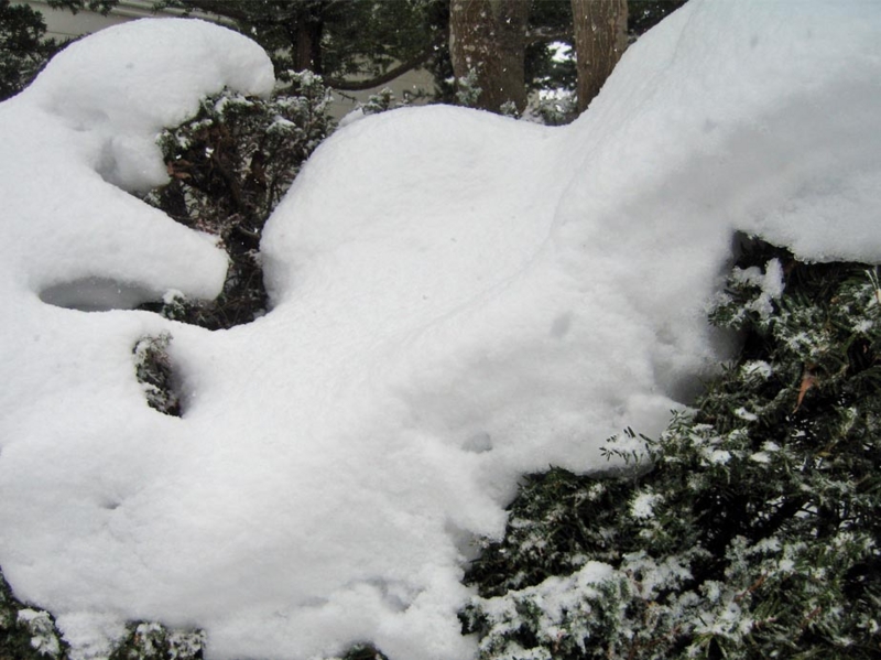 f:id:atarou:20111215171950j:image