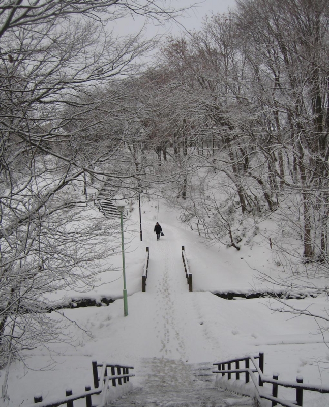 f:id:atarou:20111216064900j:image