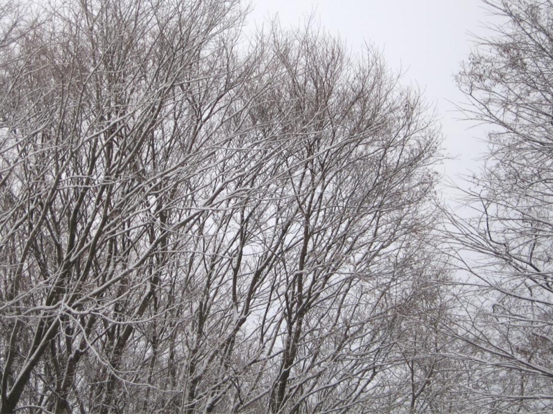 f:id:atarou:20111216065545j:image