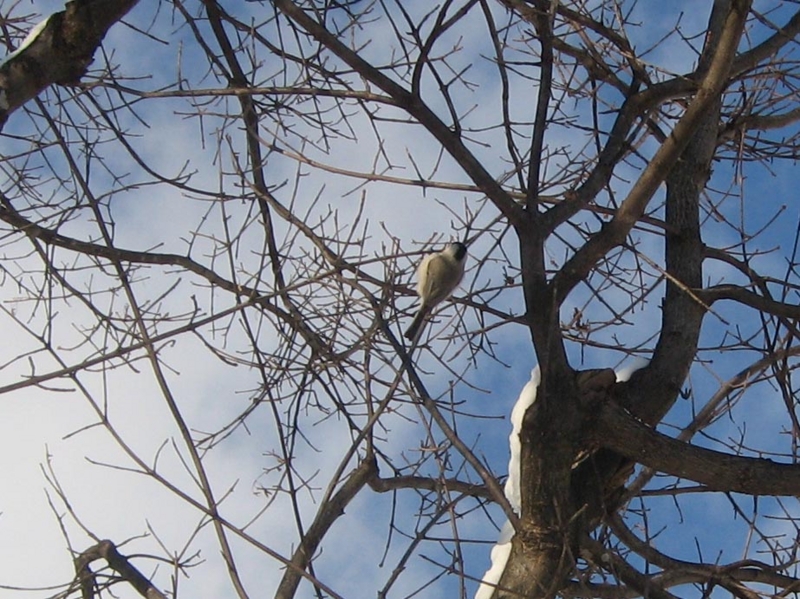 f:id:atarou:20111219062205j:image