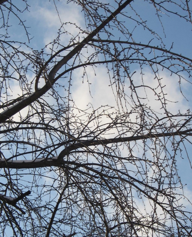 f:id:atarou:20111219064133j:image