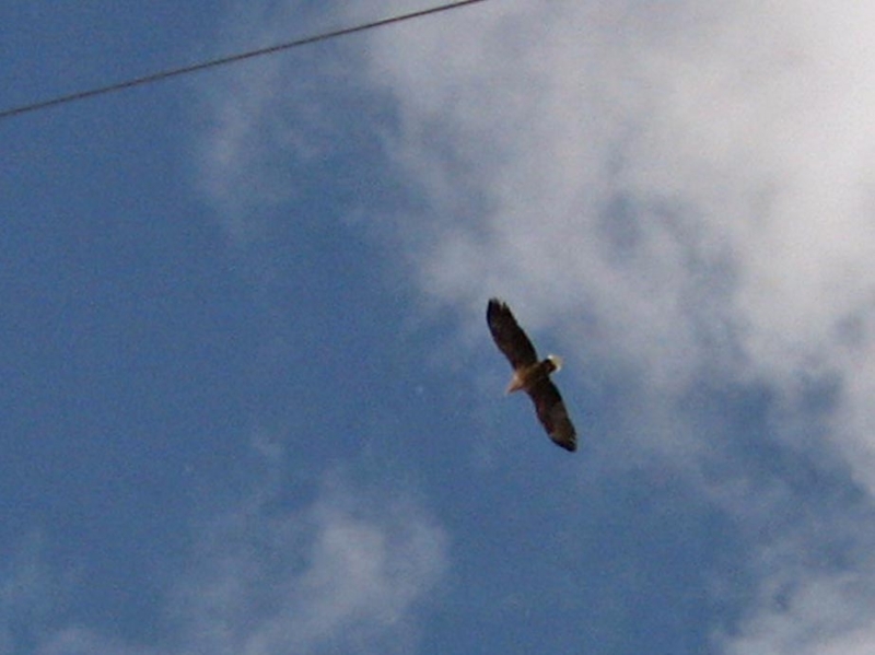f:id:atarou:20111219064135j:image