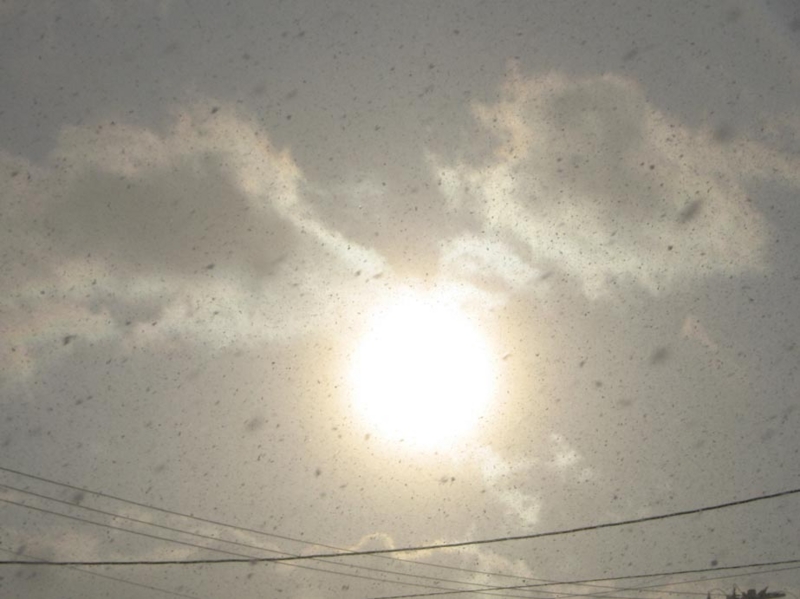 f:id:atarou:20111219070001j:image
