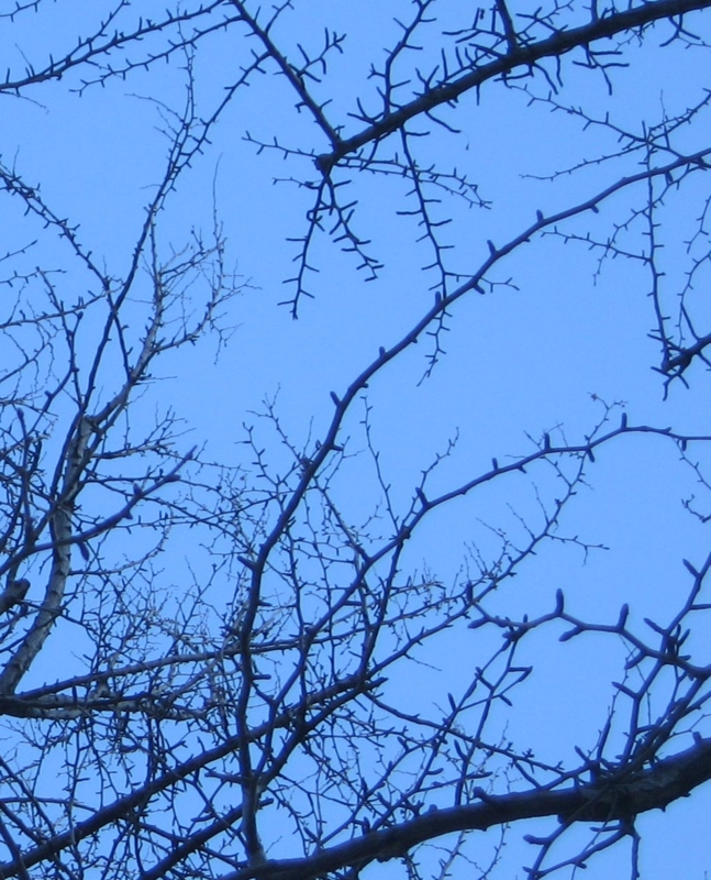 f:id:atarou:20111220193212j:image