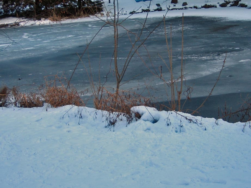 f:id:atarou:20111220195457j:image