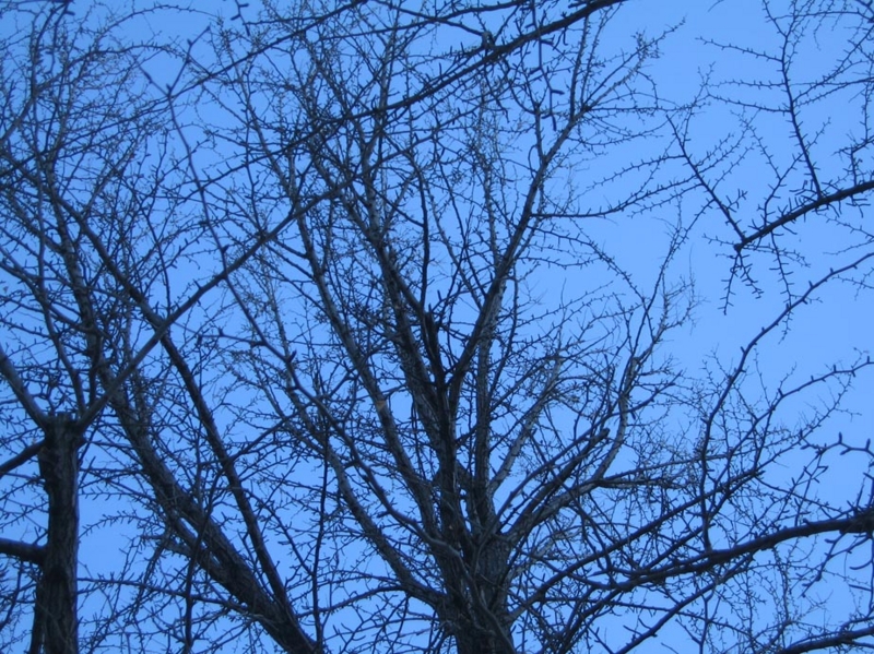 f:id:atarou:20111221065025j:image