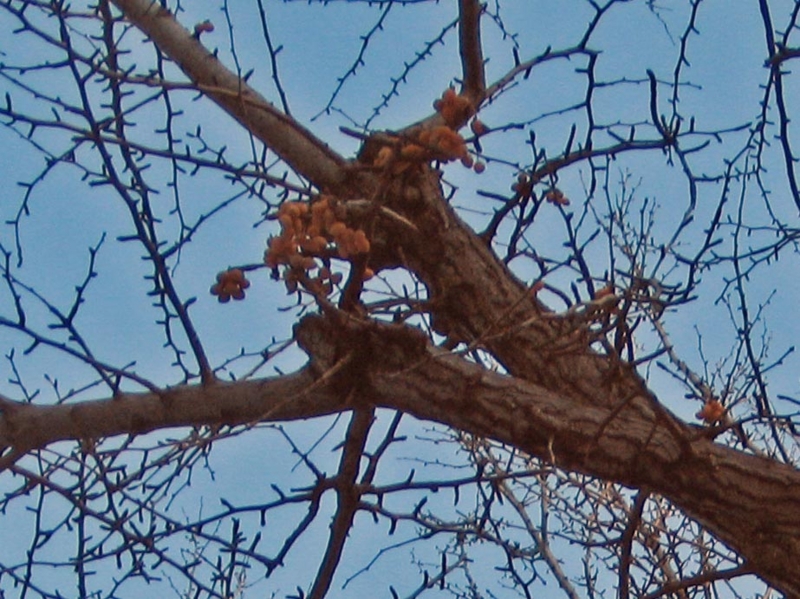 f:id:atarou:20111221065026j:image