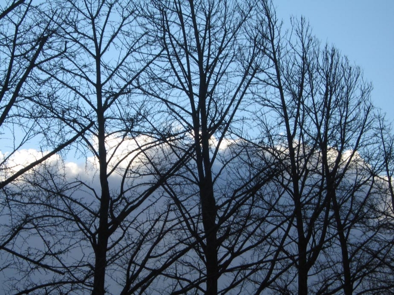 f:id:atarou:20111221071739j:image