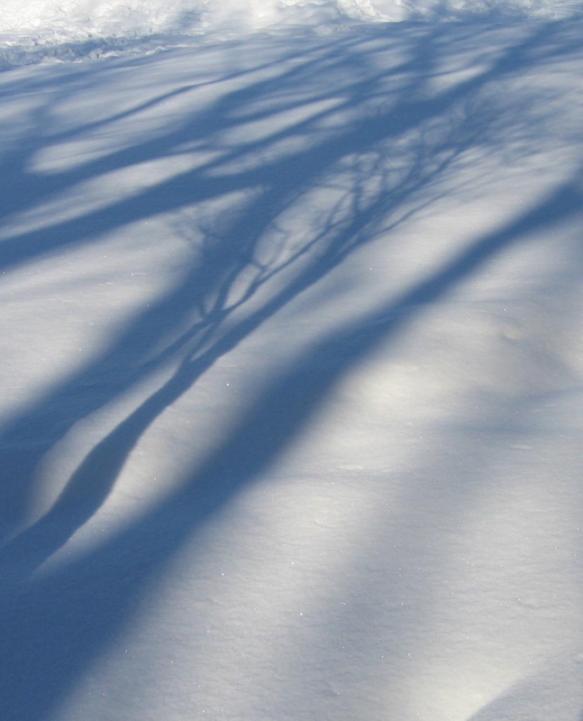 f:id:atarou:20111221172559j:image