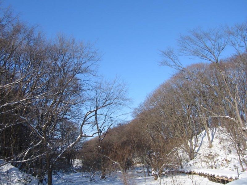 f:id:atarou:20111221195334j:image