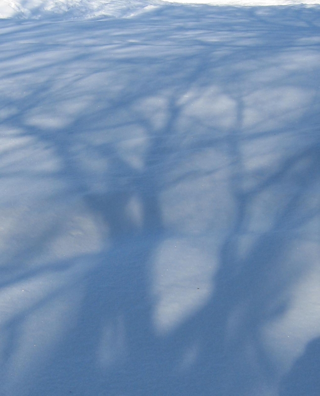 f:id:atarou:20111222063753j:image