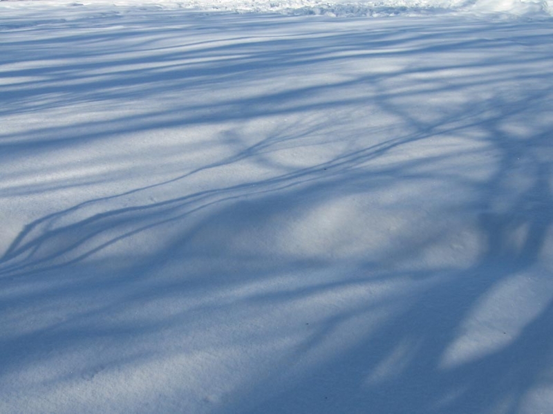 f:id:atarou:20111222063754j:image