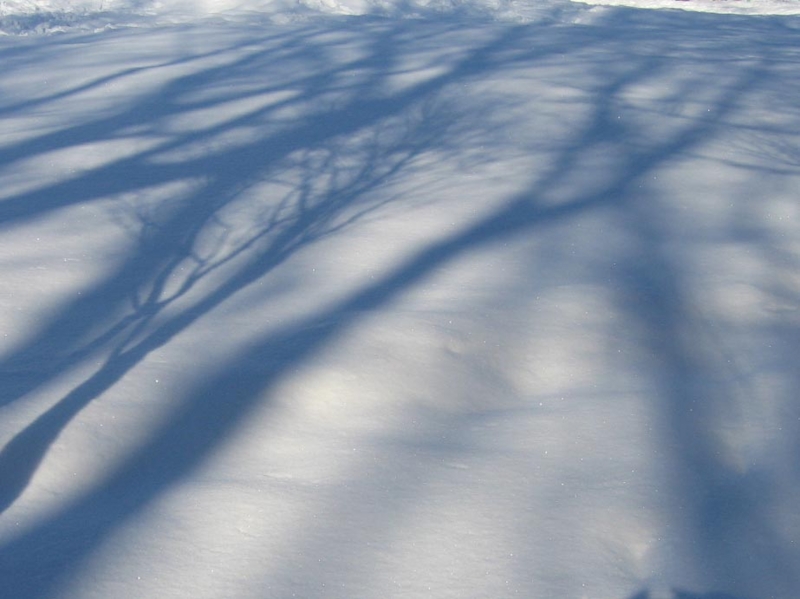 f:id:atarou:20111222063756j:image