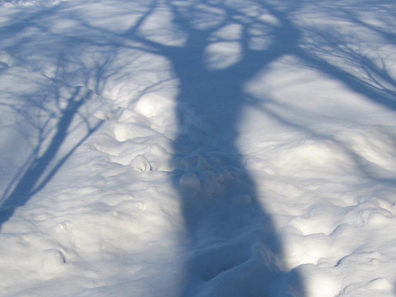 f:id:atarou:20111222063757j:image