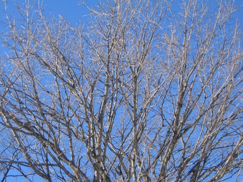 f:id:atarou:20111222063758j:image