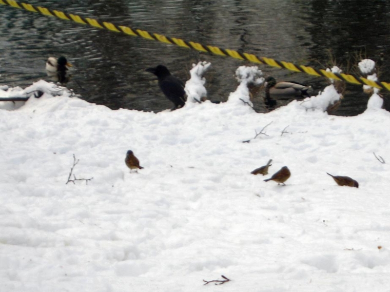 f:id:atarou:20111224071129j:image