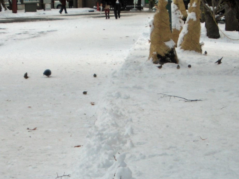 f:id:atarou:20111224071131j:image