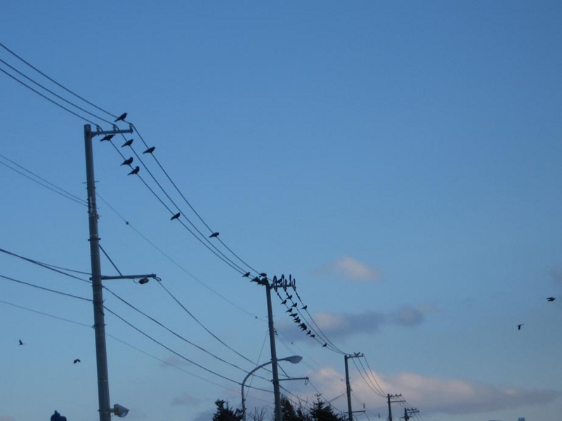 f:id:atarou:20111225074719j:image