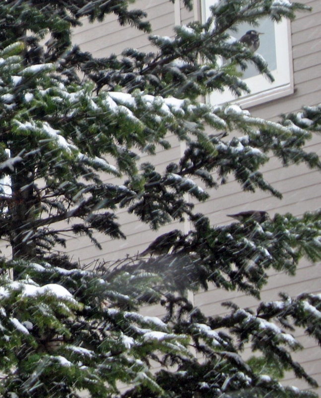 f:id:atarou:20111227175805j:image