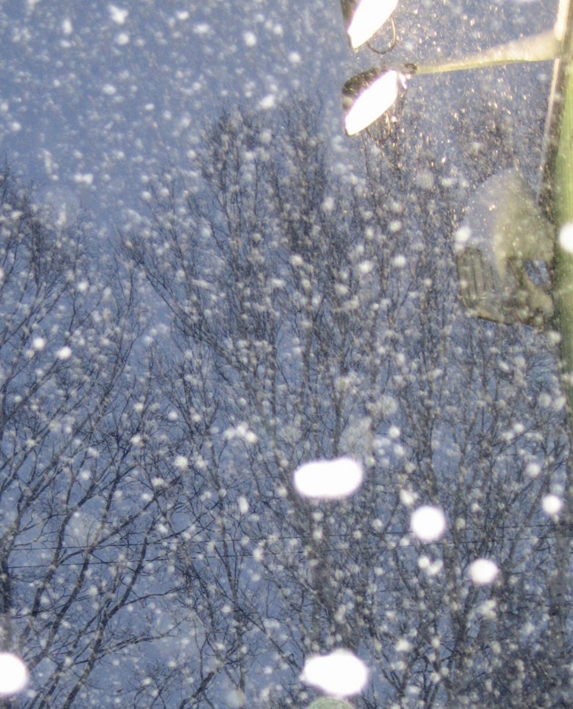 f:id:atarou:20111228065706j:image