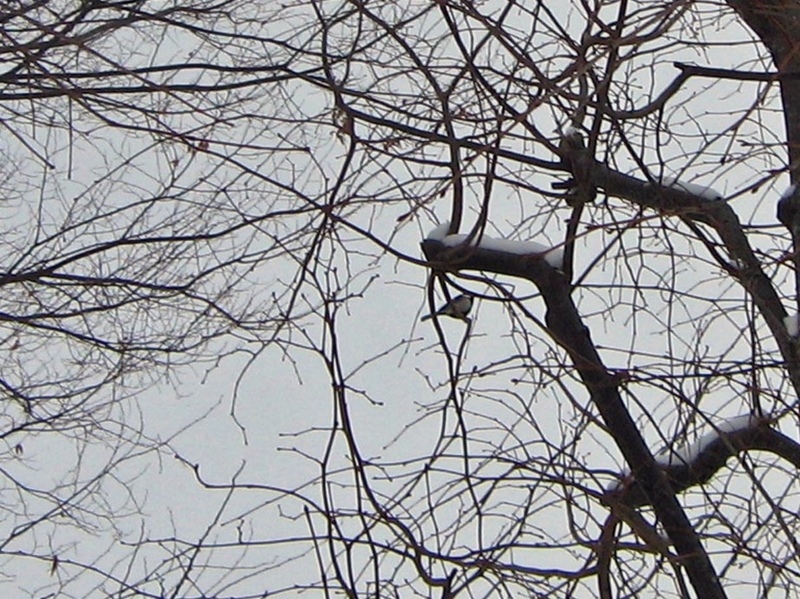 f:id:atarou:20111230181233j:image