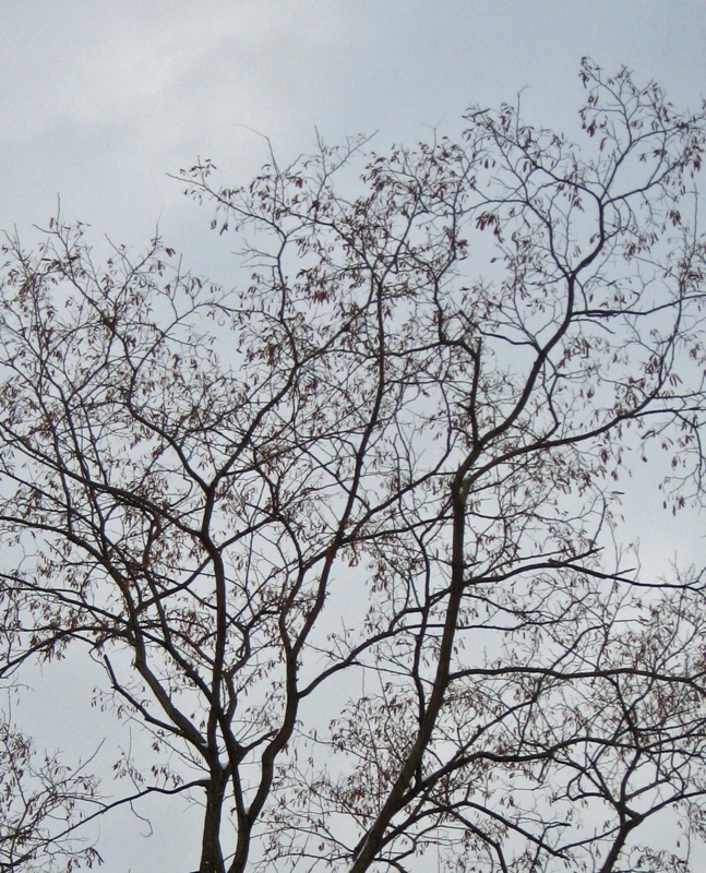 f:id:atarou:20111230181657j:image