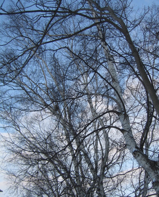f:id:atarou:20111231071319j:image