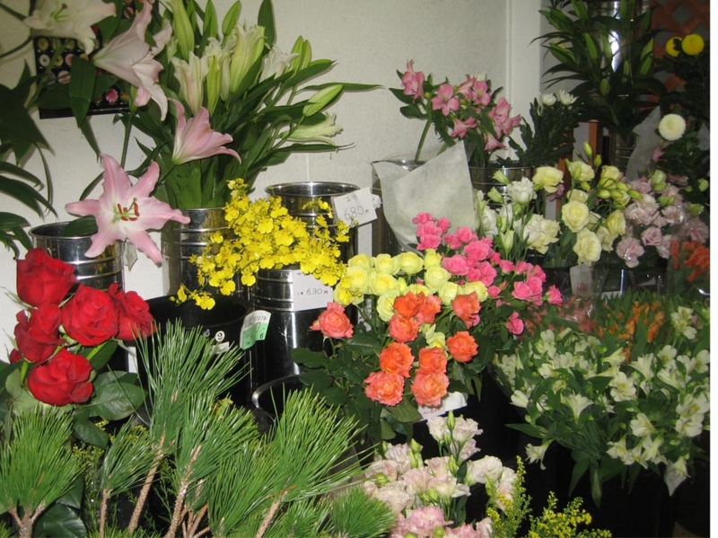 f:id:atarou:20111231071322j:image