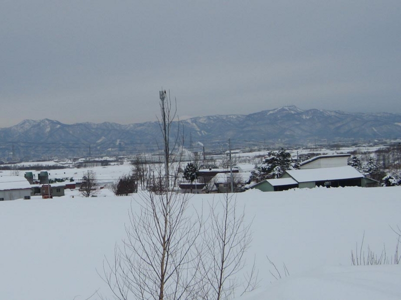 f:id:atarou:20120202065224j:image